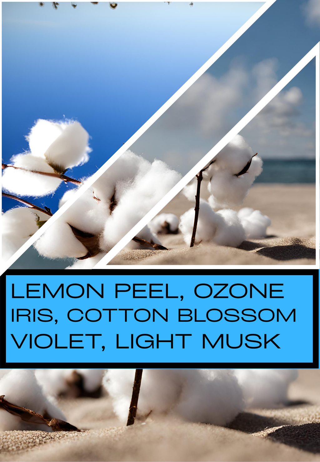 Air Kissed Cotton 3 Wick Candle - Handmade Beach Candle