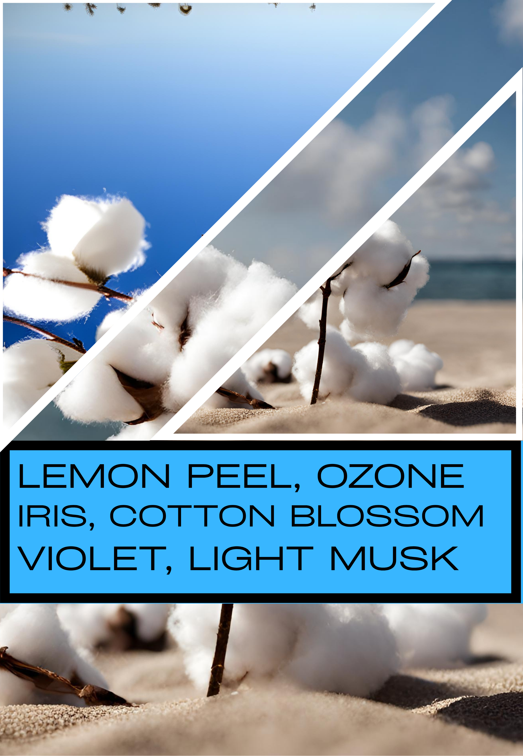 Air Kissed Cotton 3 Wick Candle - Handmade Beach Candle