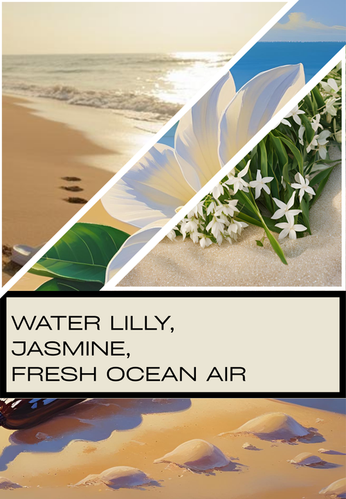 Barefoot Breeze - 3 Wick Candle