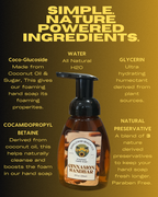 Cinnamon Sandbar - Foaming Hand Soap - Limited Edition Holiday Scent