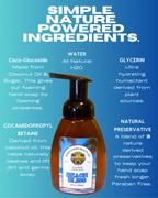 Beach Bliss - Foaming Hand Soap - All Natural Bathroom Soap With Essential Oils