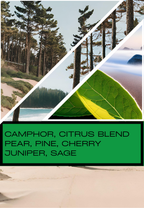 Florida Pine 3 Wick Candle - Perfect Pine Scented Candle, Christmas Candle