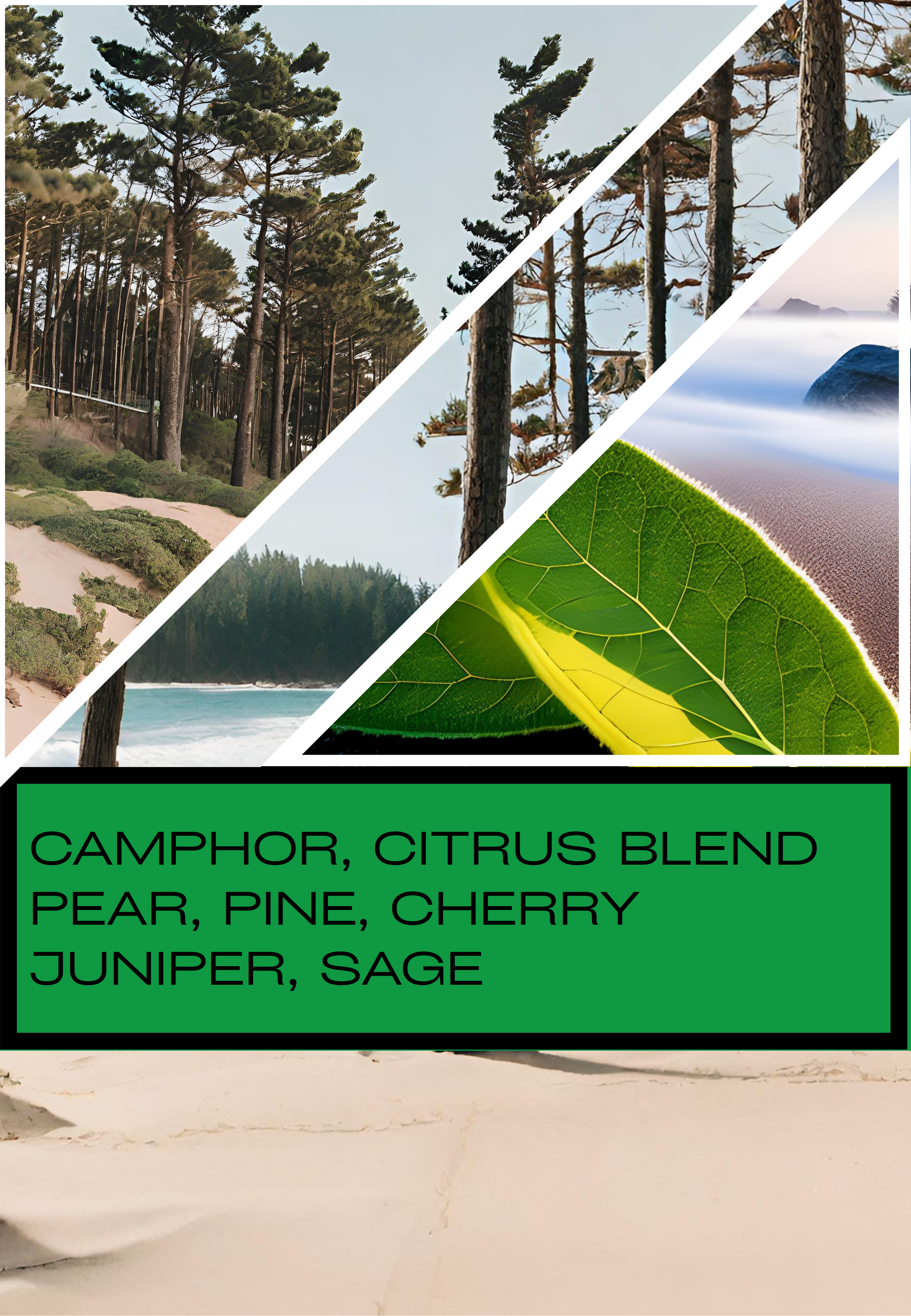 Florida Pine 3 Wick Candle - Perfect Pine Scented Candle, Christmas Candle