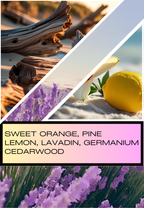 Lavender Coast - Scented Wax Melts- Soy Wax Melts - Sunflower Wax, Handmade