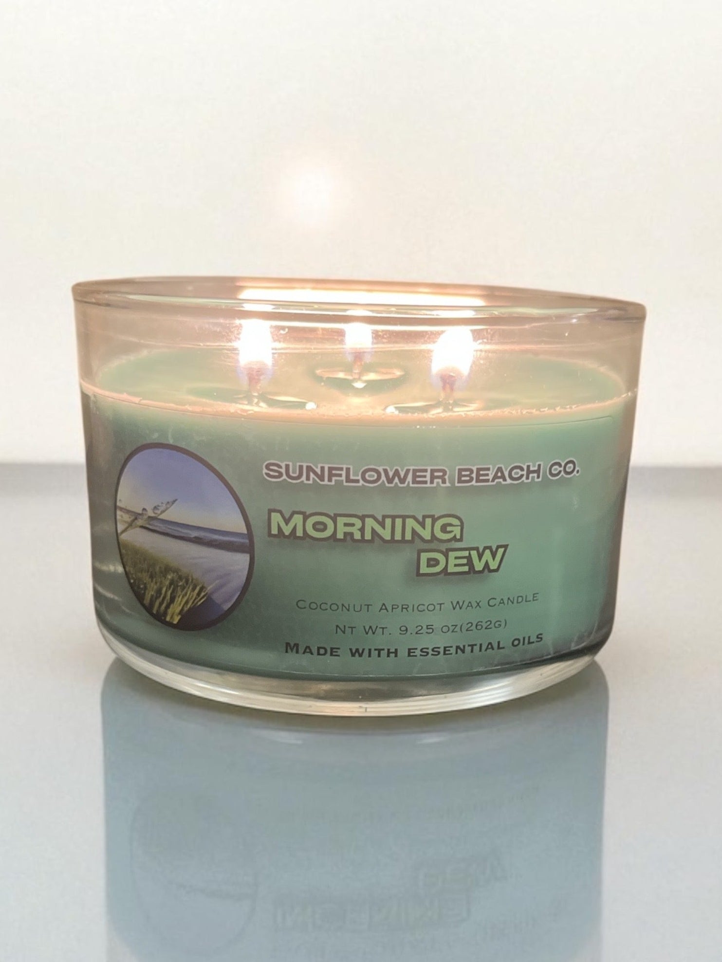 Morning Dew 3 Wick Candle - Fresh, Grassy Scent - Handmade Candle