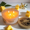 Pineapple Vanilla - 3 Wick Candle