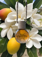 Car Air Freshener - Tropical Gardenia - Beach Whiffs™ Hanging Car Diffuser