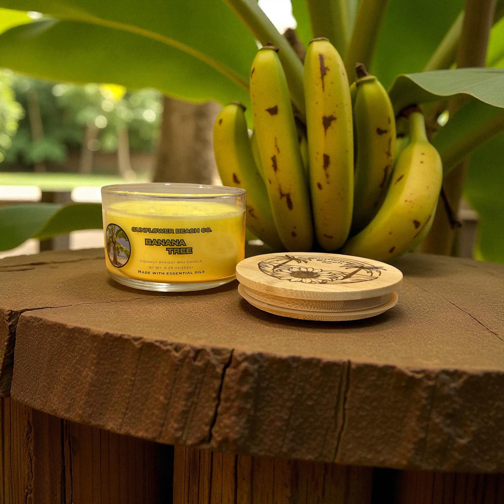 Banana Tree - 3 Wick Luxury Candle - Fast, Room Filling Fragrance