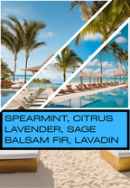 Seaside Resort - Highly Scented Wax Melts - Soy & Sunflower Wax