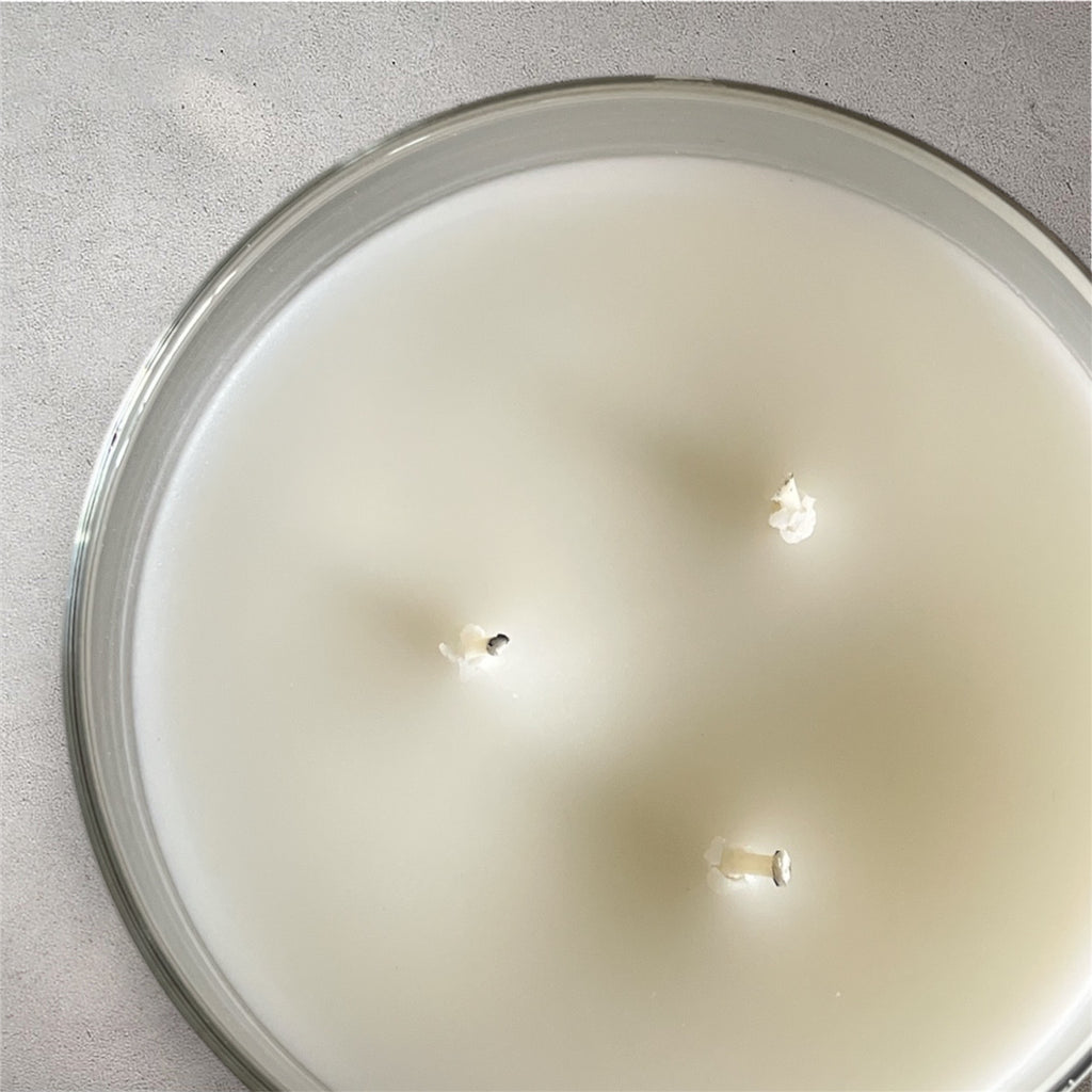 Coconut Breeze - 3 Wick Candle - Large Beach Candle, Coconut Candle, Beach Decor