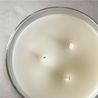 Coconut Breeze - 3 Wick Candle - Large Beach Candle, Coconut Candle, Beach Decor