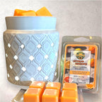 Citrus Escape - Scented Wax Melts - Soy & Sunflower Wax - Handmade & Highy Scented