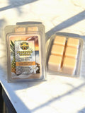 Pineapple Vanilla - Scented Wax Melts -Soy Wax Melts - Sunflower Wax - Handmade
