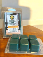 Florida Pine - Scented Wax Melts - Soy Wax Melts - Sunflower Wax - Handmade