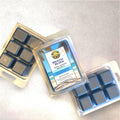 Beach Bliss - Scented Wax Mels -  Soy & Sunflower Wax - Handmade Wax Tarts