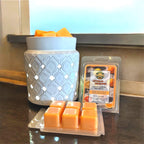 Citrus Escape - Scented Wax Melts - Soy & Sunflower Wax - Handmade & Highy Scented