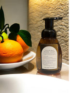 Foaming Hand Soap- Citrus Escape - Kitchen Soap - Bathroom Soap - Handmade
